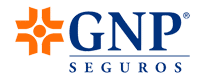 GNP Aseguradora para auto